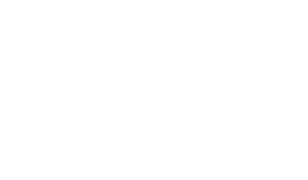 ChiwisKiwiChipsLogo.png