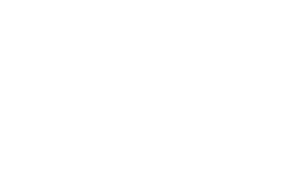 Synaptitude.png